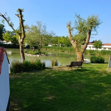 Casa de Férias Maison De Avec Piscine Chauffee Dans La Les Jardins St Pierre Oleron