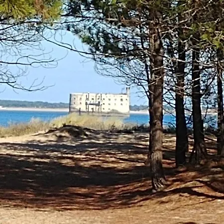 Maison De Avec Piscine Chauffee Dans La Les Jardins St Pierre Oleron